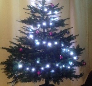 Weihnachtsbaum mit Lichterkette