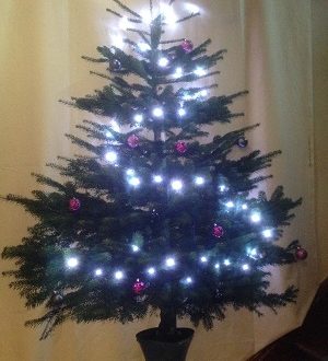 Weihnachtsbaum mit Lichterkette