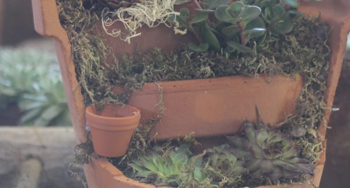 ein Blumentopf aufgebrochen und in drei Etage beplanzt